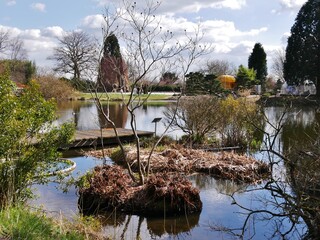 Insel im Teich des Arboretums Ellerhoop