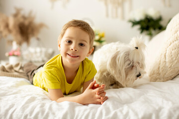 Cute little preschool boy with his pet dog, playing together in bed