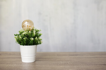 green energy concept - close up of light bulb in green potted houseplant and copy space over grey wall
