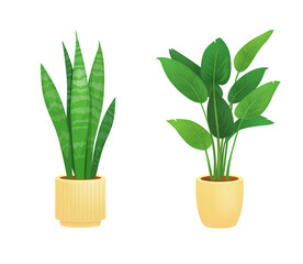 Set  house plant. Vector illustration design. Isolated flat vector illustration. Flat illustration with green set house plant on white background for decoration design. Design element. potted plants
