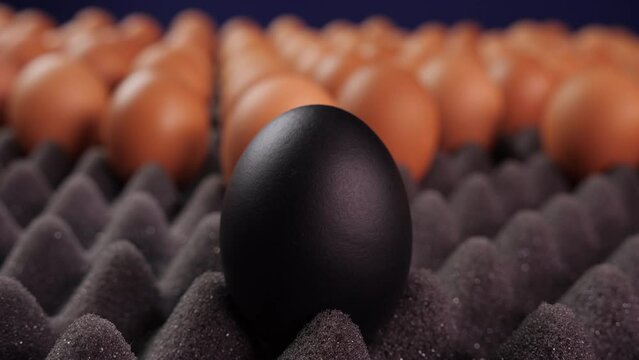 Leader concept. Camera slowly revolve around black egg leading crowd of many brown eggs. Stand out from the crowd, individuality and difference concept. Close up, shallow depth.