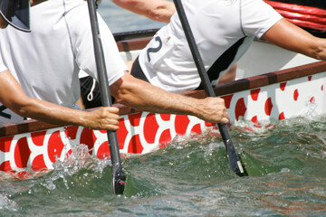 hands, paddles and a dragon boat
