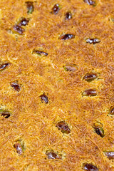Pistachio kadayif dessert. Traditional Turkish cuisine delicacies. Close-up kadayif dessert