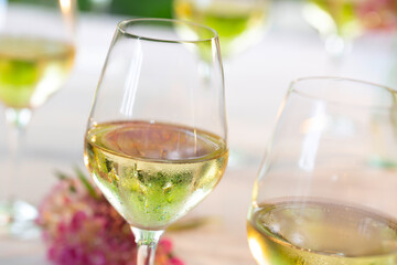Weißwein Glas