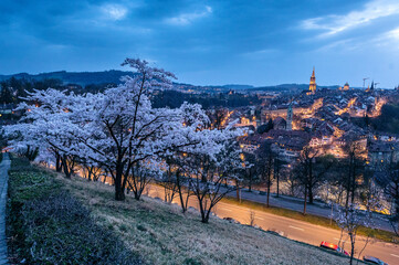 view from Rosengarten over the historic center of Bern during cherry blossom in spring