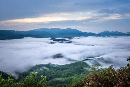 The mist on the mountain, Gunung Silipat in Yala province south Thailand.