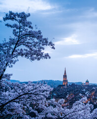 historic clocktower of Berner Münster during scenic cherry blossom in Rosengarten at blue hour