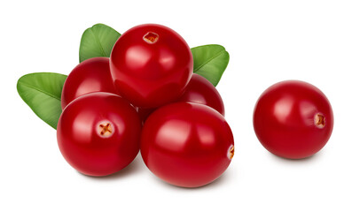 Cranberry isolated on white background with clipping path and full depth of field