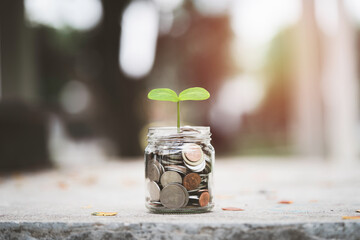 Plant  growth from saving jar for money saving deposit and investment profit growth concept.
