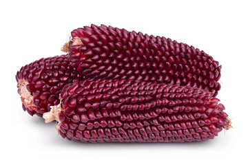 Purple corn or maize isolated on white background with clipping path and full depth of field