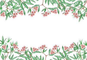 watercolor botanical frame, oleander flowers on white background, banner, postcard