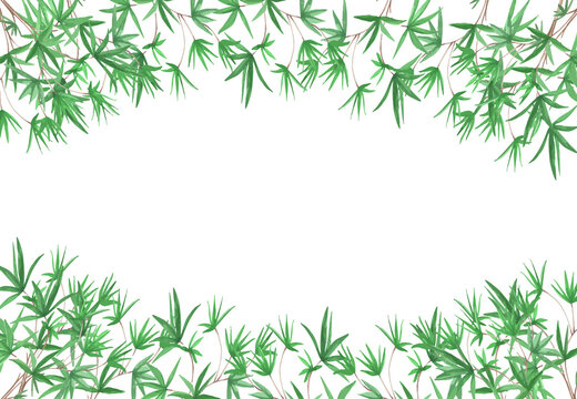 watercolor botanical frame, green leaves palm tree, eucalyptus on white background, banner, postcard