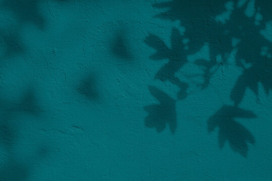 Shadow of leaves on turquoise green teal concrete wall texture with roughness and irregularities. Abstract nature concept background. Copy space for text overlay, poster mockup flat lay 