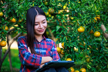 woman sitting thinking of marketing plan in her tangerine orchard and video call with costomers about trading tnagerines with tablet, young girl smart owner tangerine orchard concept.