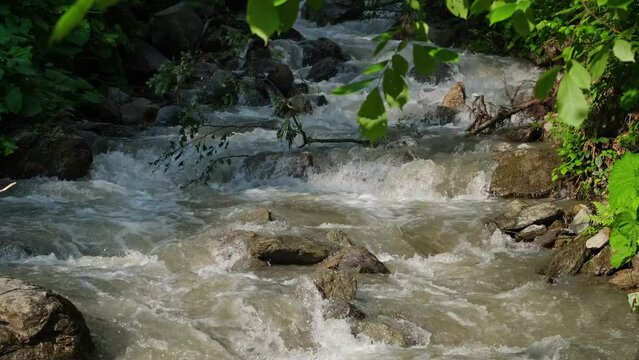 Full-flowing mountain river in the Carpathians after heavy summer rain 
