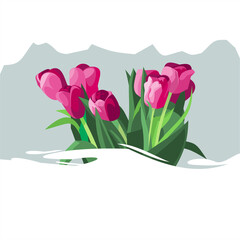 spring flowers , summer, spring flowers illustration, flower, spring