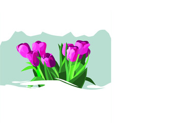 spring flowers illustration,flower,spring,pink,summer