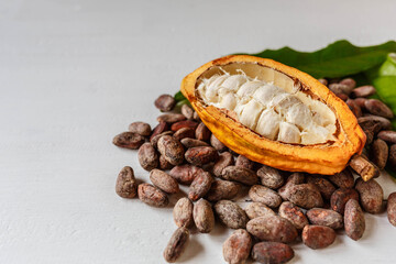 Half cacao pods and cacao fruit with brown cocoa   beans