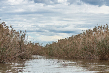Albufera de Valencia 