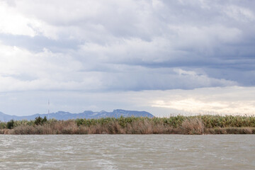 Obraz premium Albufera de valencia 