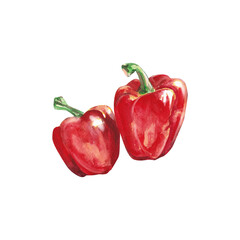 Watercolor vegetables. Red pepper. Sweet pepper. Watercolor illustration on a white background. Hand drawn isolated fresh red pepper paprika. Design greeting card, towel, wallpaper, packaging,apron