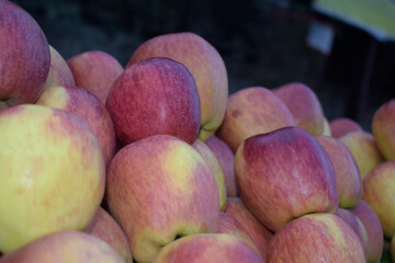 Red apples background