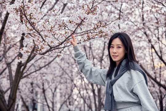 Beautiful Asian girl in cherry blossom garden on a spring day.