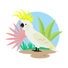 A tropical cockatoo parrot stands on the ground with leaves of tropical plants. Vector illustration isolated on white background