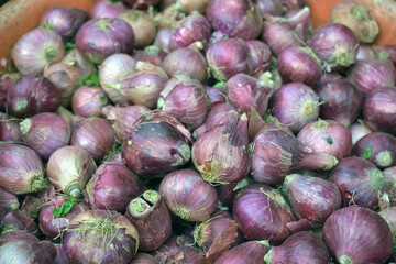 Red onion in market use for the background. Fresh onion at the market. 