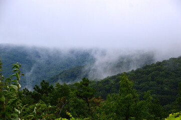 Landschaft in den Wolken im Great Smoky Mountains National Park