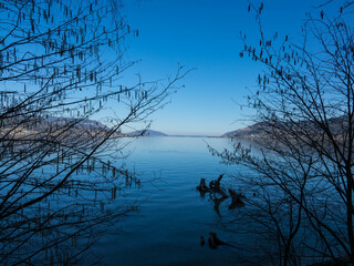 Fototapeta premium Attersee lake at Salzkammergut area in Austria. Tree branches, beautiful blue sky and the alps mountains. Upper Austria, Europe