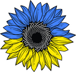 Sunflower in the colors of the Ukrainian flag