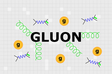 Name of gauge boson gluon in the center with green spirals and electron - positron anihilation feynman diagram around it.