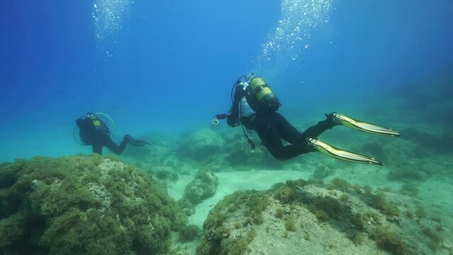 Image of divers capturing images of coral reefs and shoals of fish under the sea.