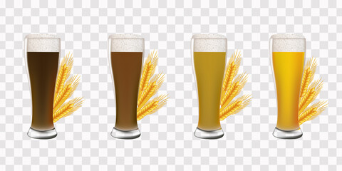Glasses with beer on a transparent background and realistic ears of wheat