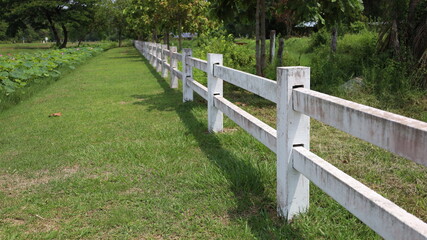 Concrete fence farm. Old cowboy style white fence showing boundaries in the green tree background...