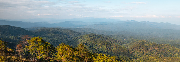high angle view of forest and mountains in summer