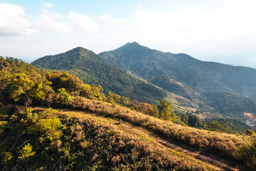 high angle view of forest and mountains in summer