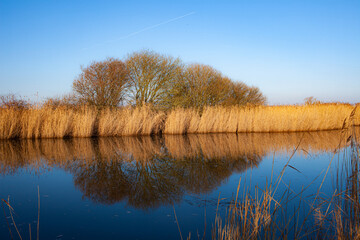 Norfolk Broads Somerton