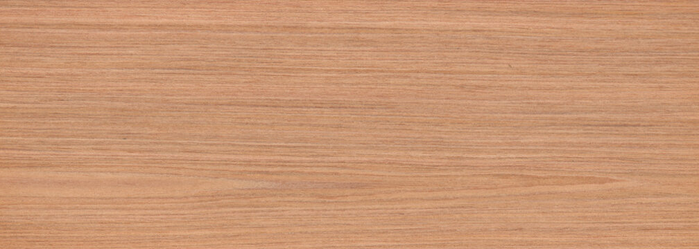 Rovere Oak top view wooden wall material burr surface texture background Pattern brown color build construction architect interior