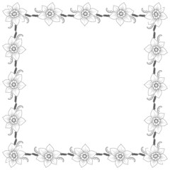 Frame with narcissus flowers. Vector illustration