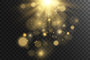 Bright beautiful star.Vector illustration of a light effect on a transparent background.