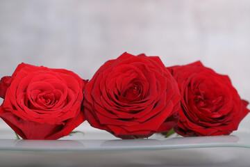 drei rote rosen mit grauem hintergrund
