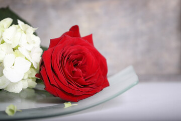rote rose mit weisser hortensie und grauem hintergrund