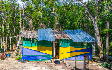 Fototapeta na wymiar Colorful corrugated iron hut in tropical jungle Mexico.