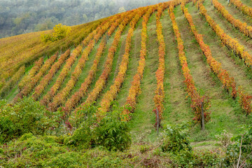 Piedmont countryside in autumn