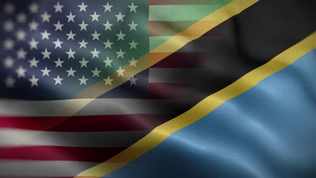 USA Tanzania Flag Loop Background 4K