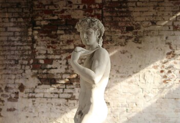 Naklejka premium Statue 