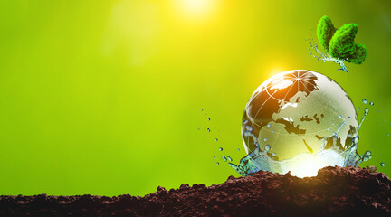 World Environment Day