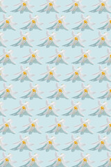 Creative summer floral pattern made of beautiful white lily flowers on pastel mint background with shadows. Nature concept. Top view. Flat lay